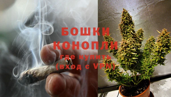 PSILOCYBIN Пересвет