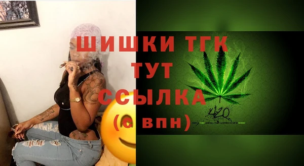 соль ск Пестово