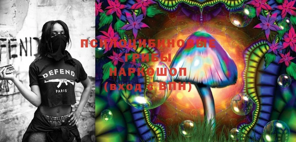 PSILOCYBIN Пересвет