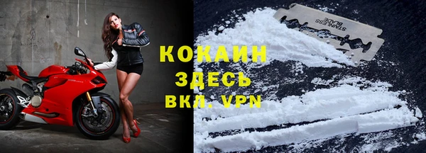 соль ск Пестово