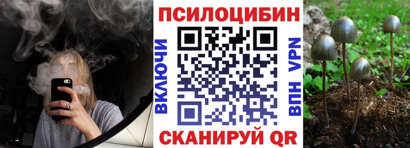 Купить закладки  Новое Девяткино  Галлюциногенные грибы мухоморы 
